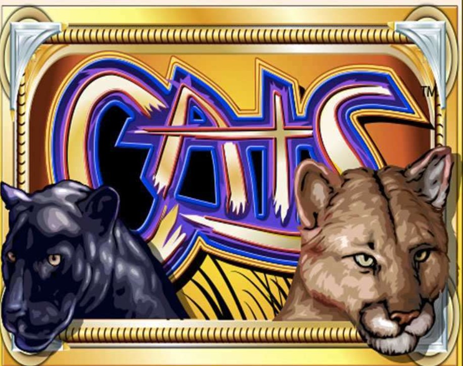 Cats slot 1