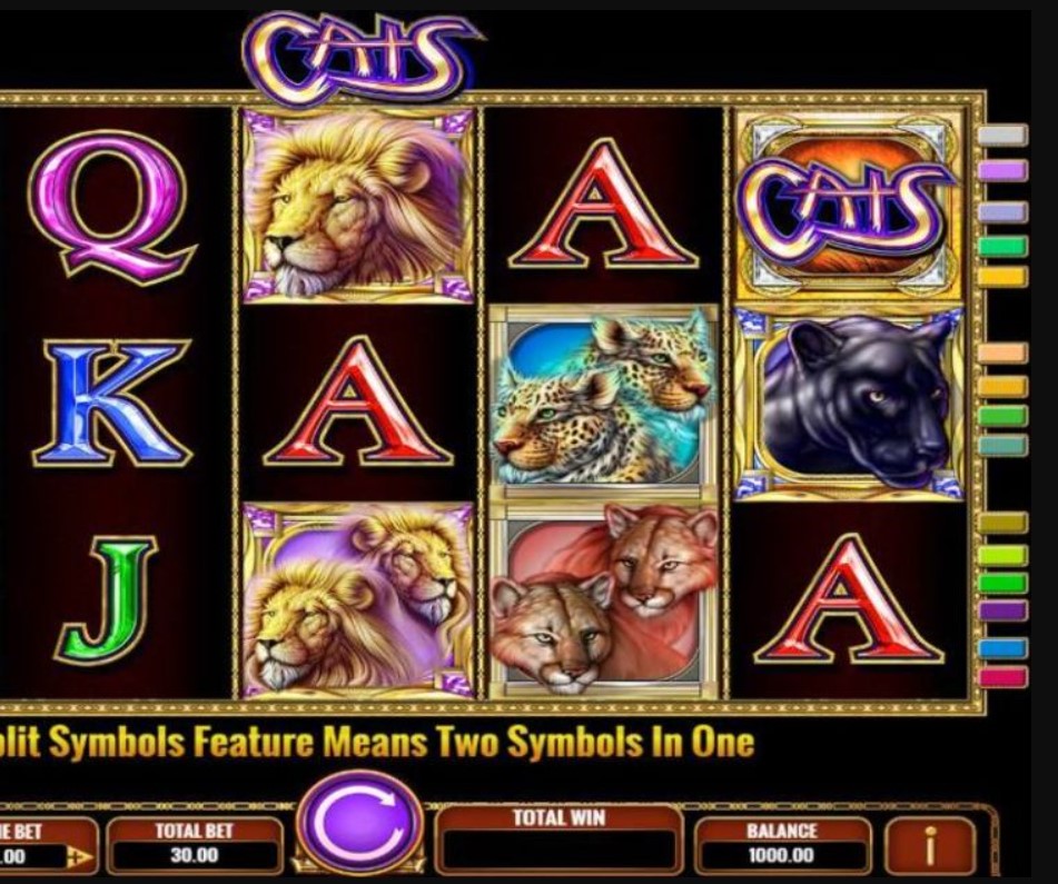 Cats slot 2