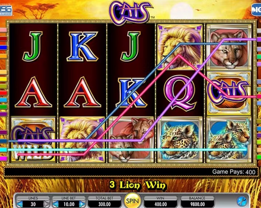 Cats slot 3